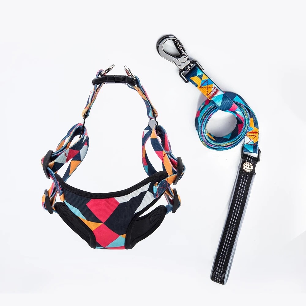 Comfortable Dog Harness and Leach